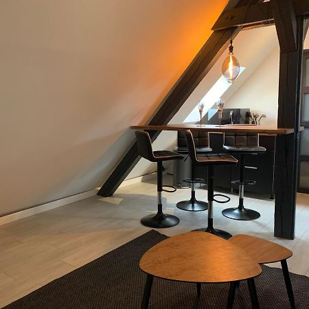 Cocoon Loft Apartment Colmar Exterior foto