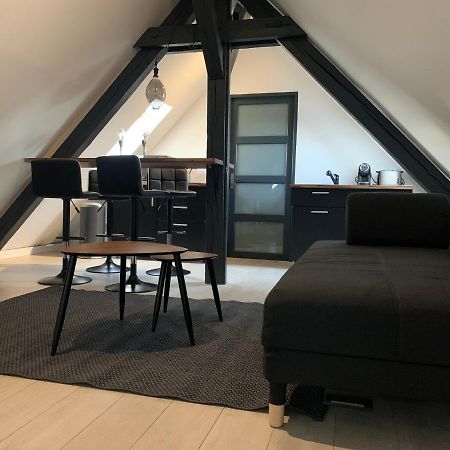 Cocoon Loft Apartment Colmar Exterior foto