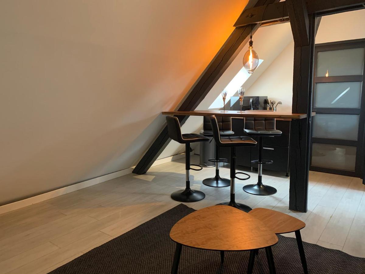 Cocoon Loft Apartment Colmar Exterior foto