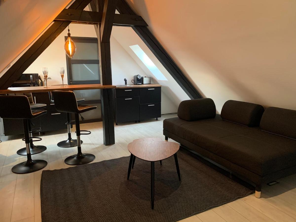 Cocoon Loft Apartment Colmar Exterior foto