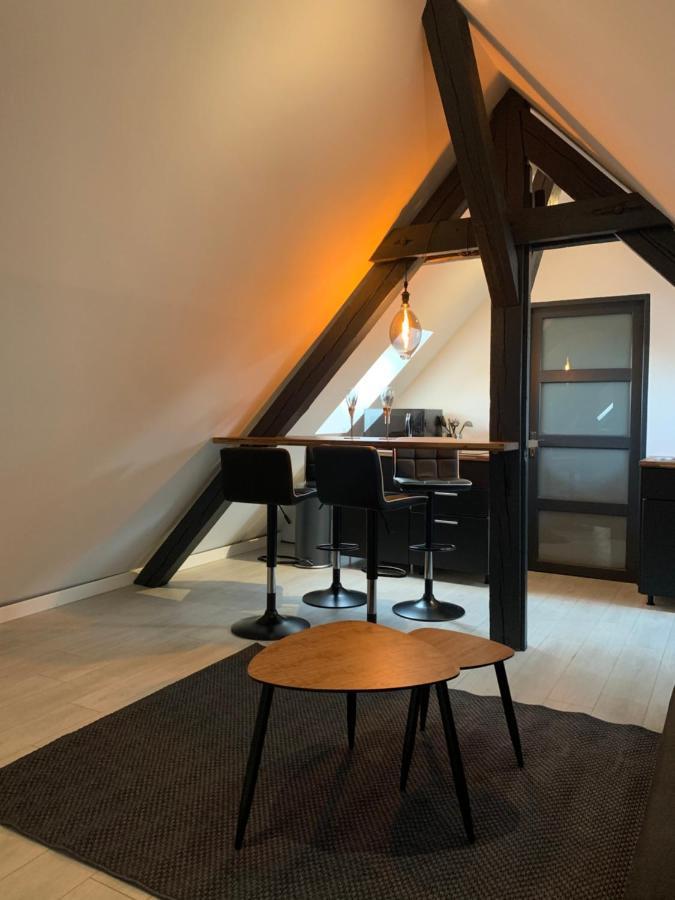 Cocoon Loft Apartment Colmar Exterior foto