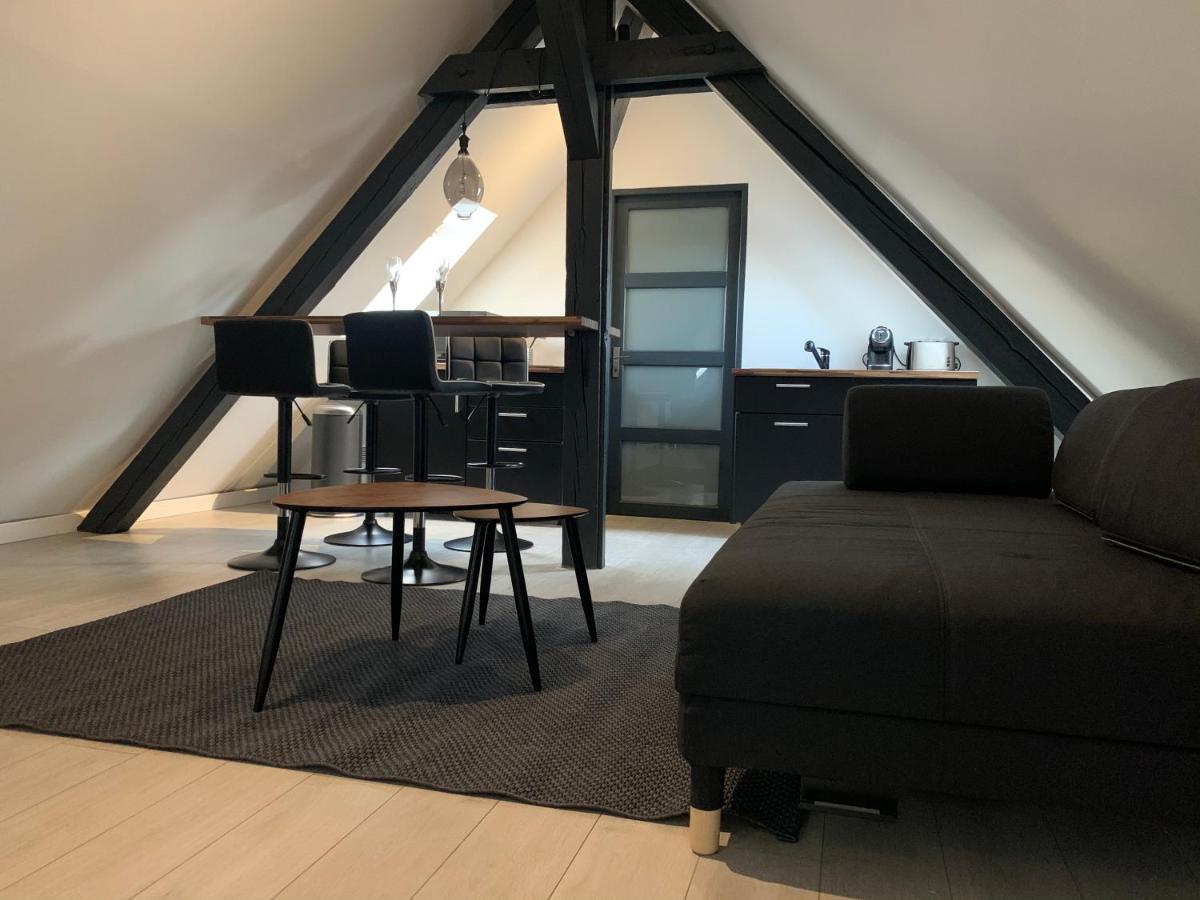Cocoon Loft Apartment Colmar Exterior foto