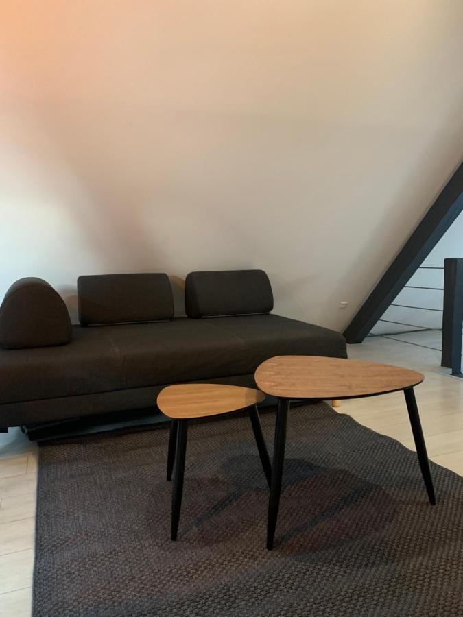 Cocoon Loft Apartment Colmar Exterior foto