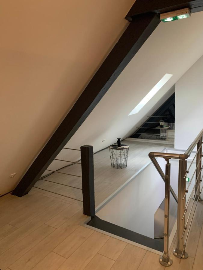Cocoon Loft Apartment Colmar Exterior foto