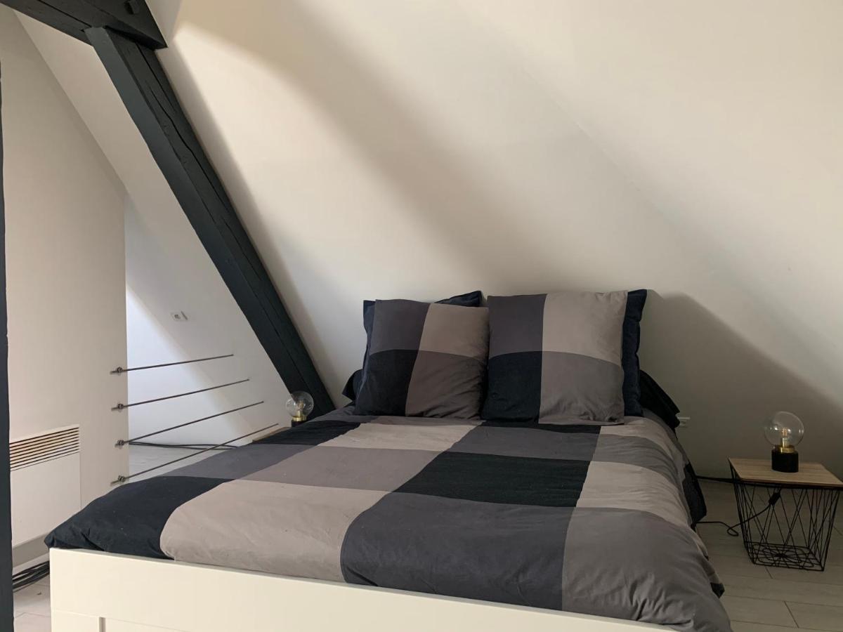 Cocoon Loft Apartment Colmar Exterior foto