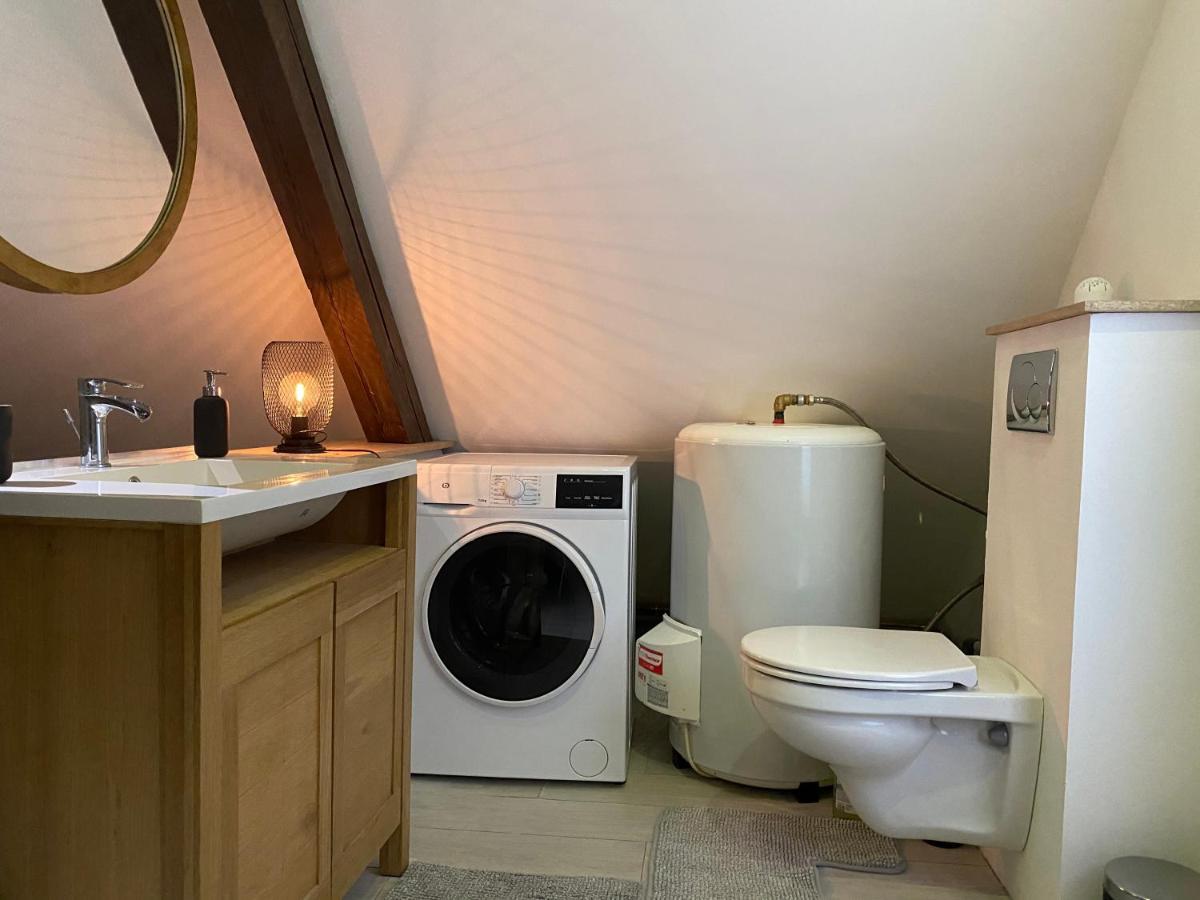Cocoon Loft Apartment Colmar Exterior foto